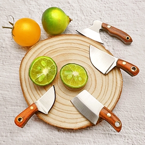 Fruit Knife