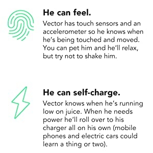 companion-robot, smart-robot, robot-assistant, voice-activated, smart-home, intelligent, alexa