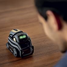 companion-robot, smart-robot, robot-assistant, voice-activated, smart-home, intelligent, alexa