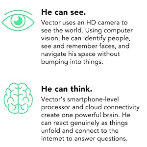 companion-robot, smart-robot, robot-assistant, voice-activated, smart-home, intelligent, alexa